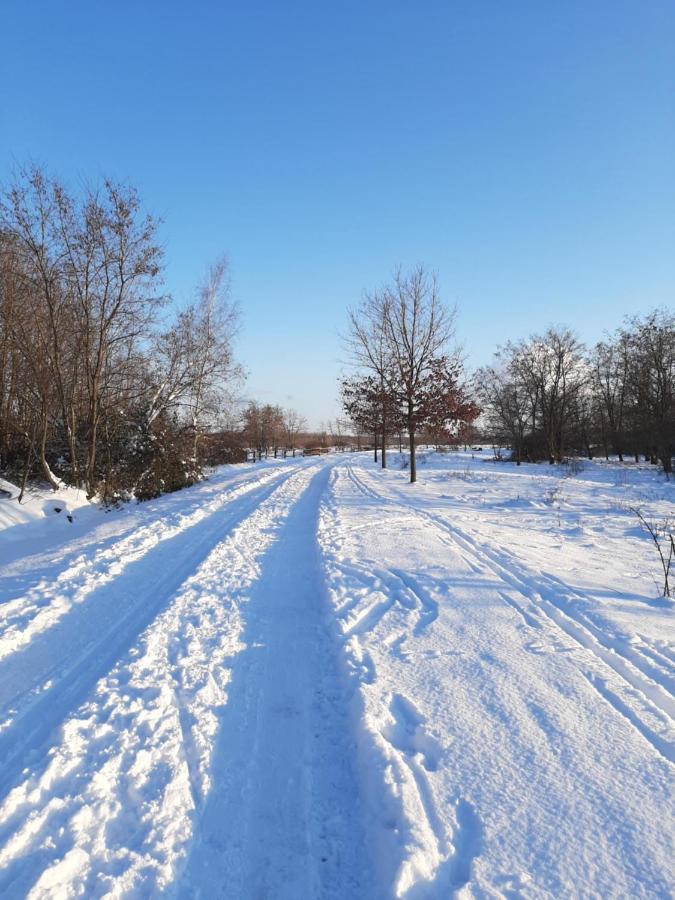 Leipziger Neuseenland Apartment Markkleeberg Zewnętrze zdjęcie